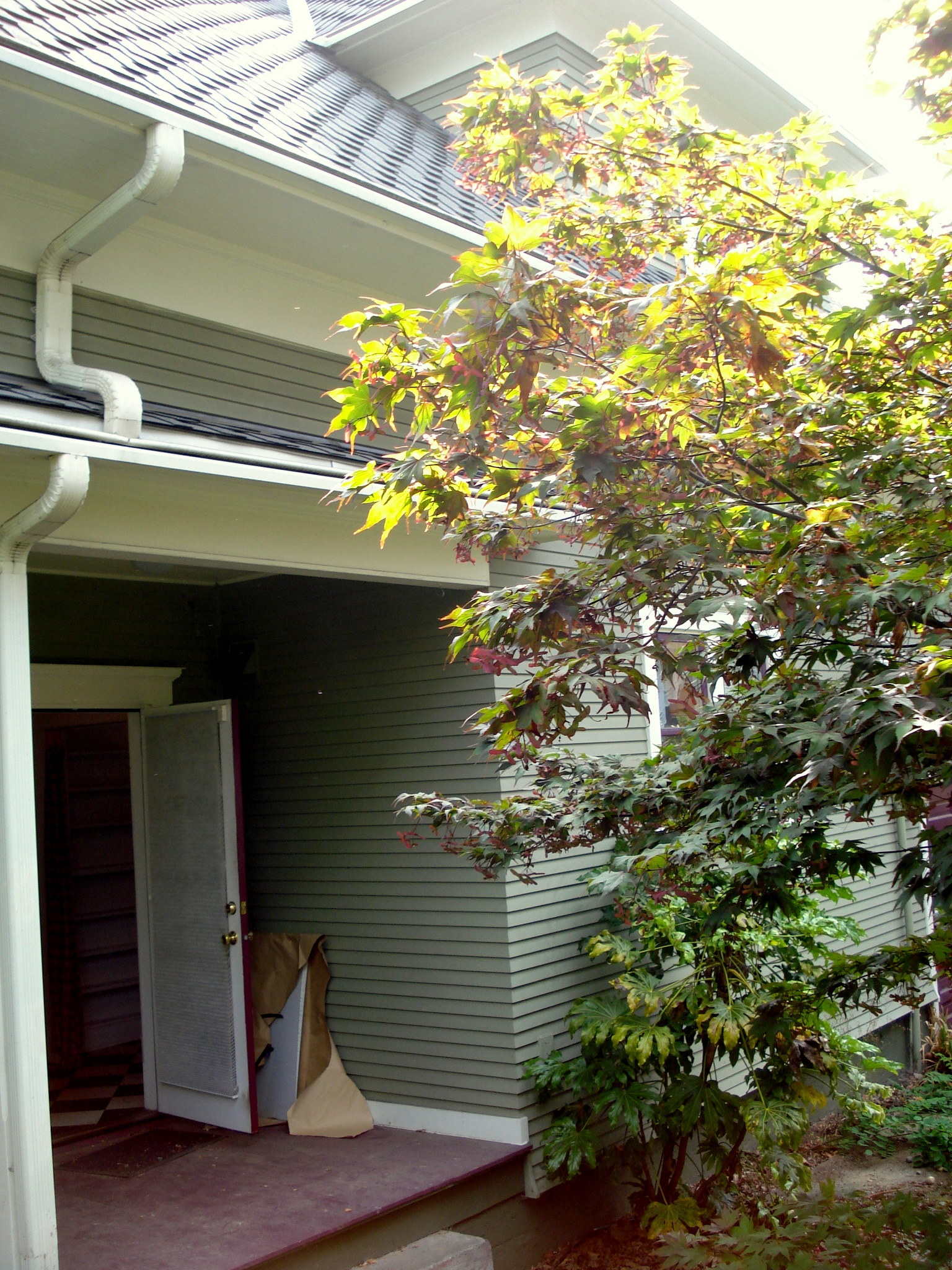 2008_28_Aug 019flynn.jpg